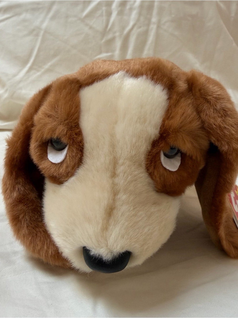 Ty Beanie Buddy “Tracker”